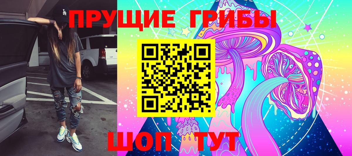 Псилоцибиновые грибы прущие грибы  Псилоцибиновые грибы Cubensis  Лениногорск  Вход с VPN 
